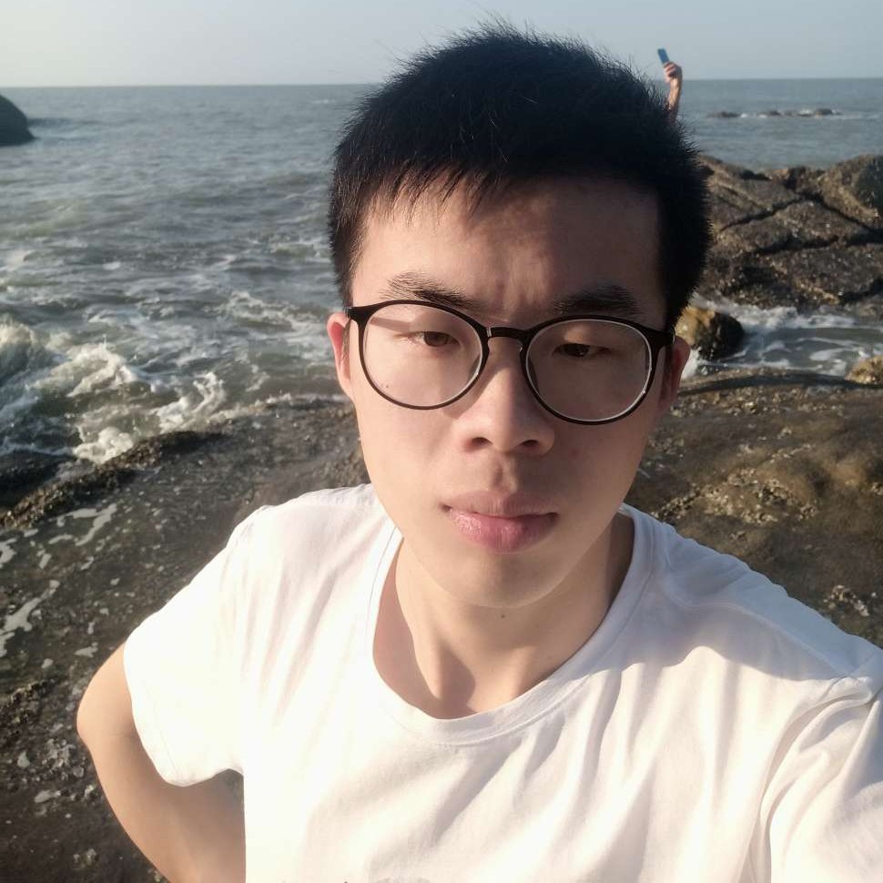 大象蹁跹含糊的照片