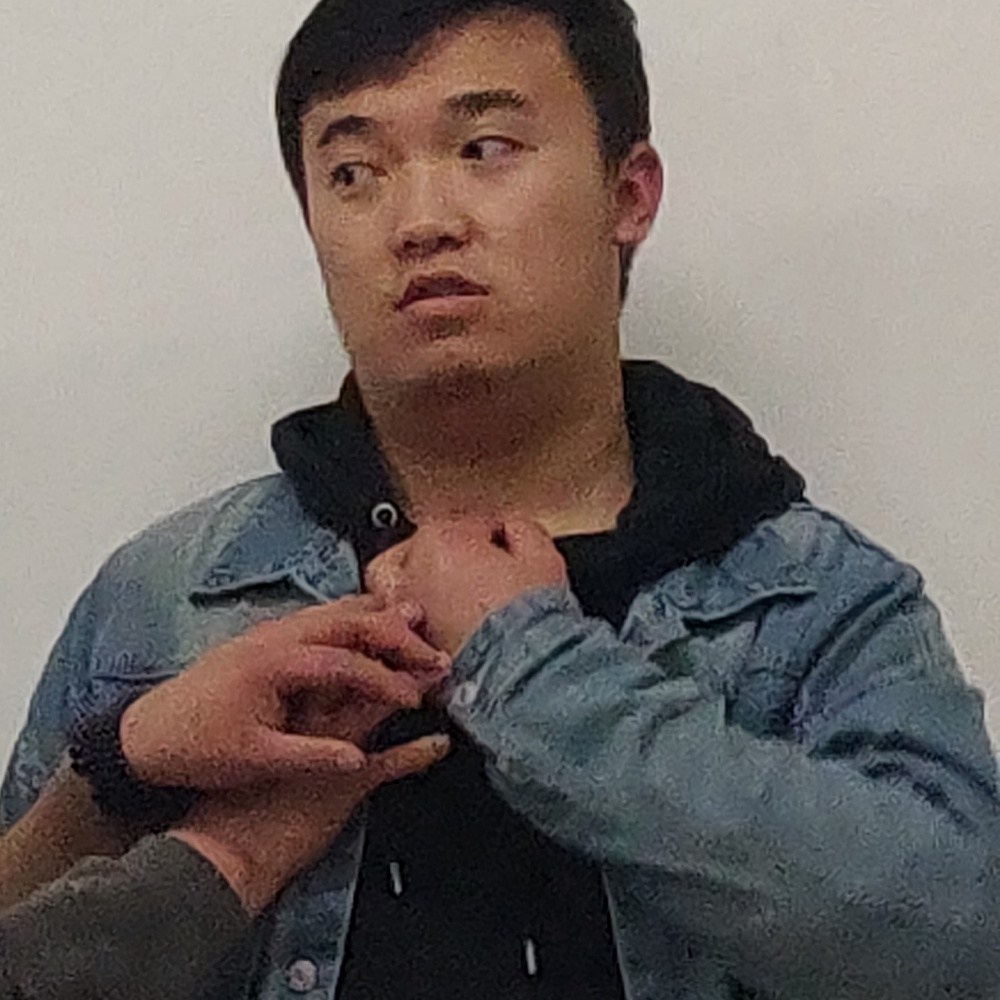 惊鸿蹁跹有魅力的照片