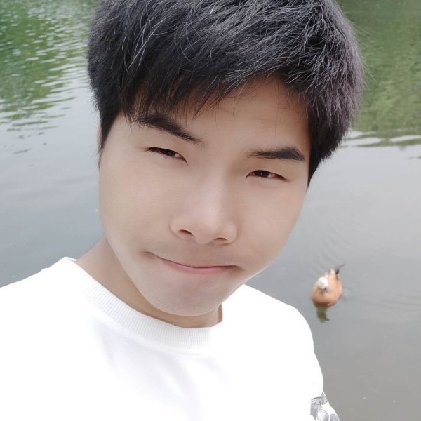 派大猩的照片