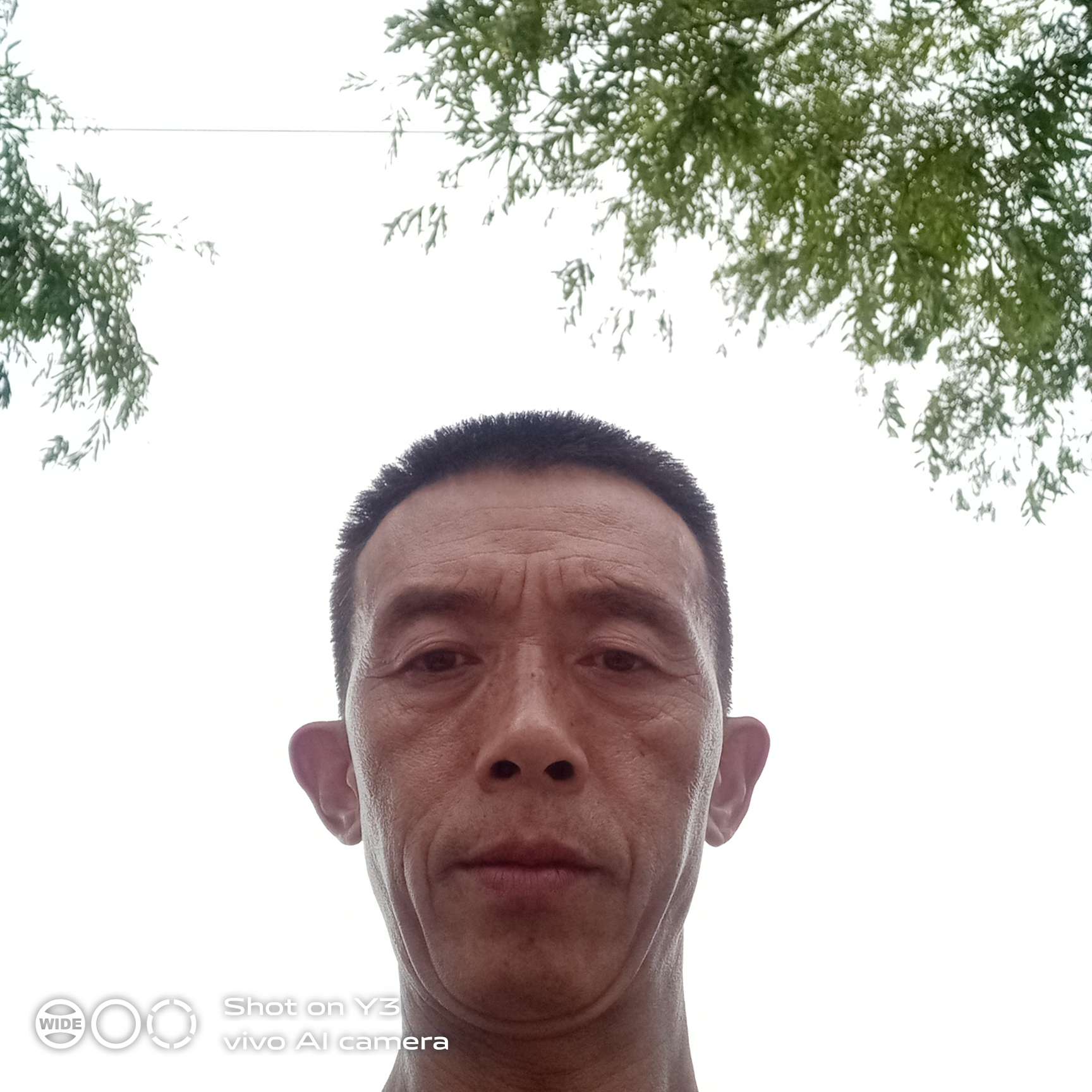 高贵等于高山的照片