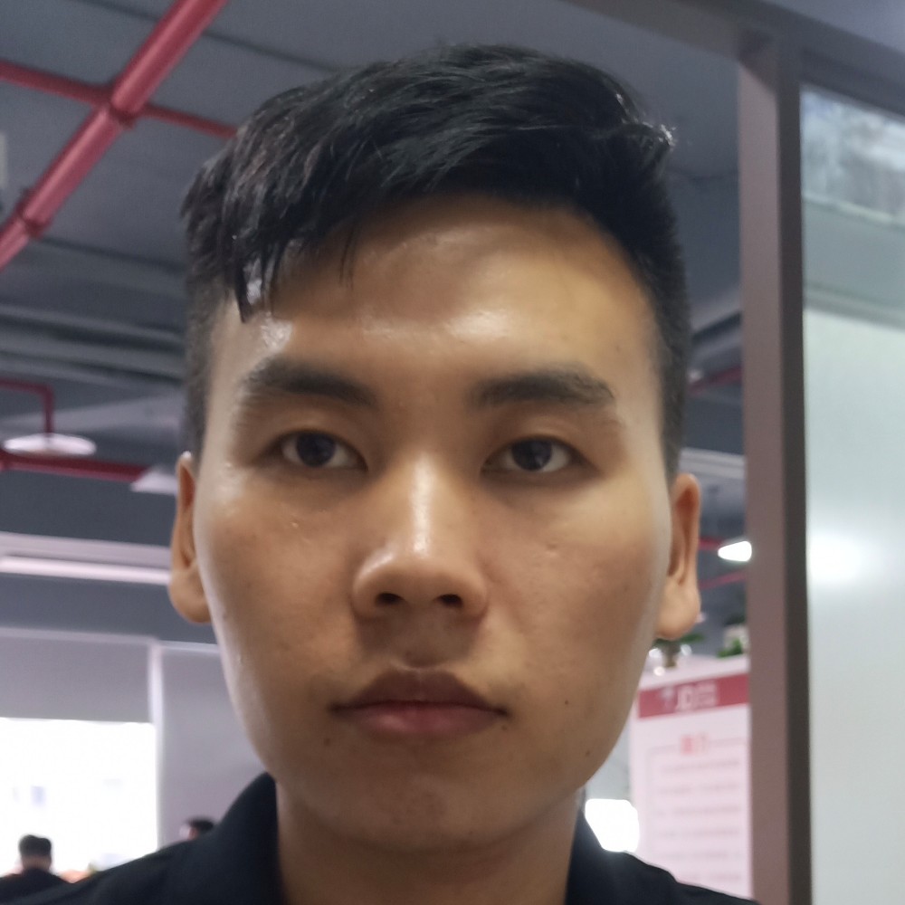 荷花等于平淡的照片