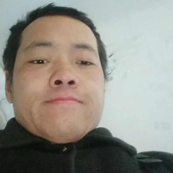 狼血龙的照片