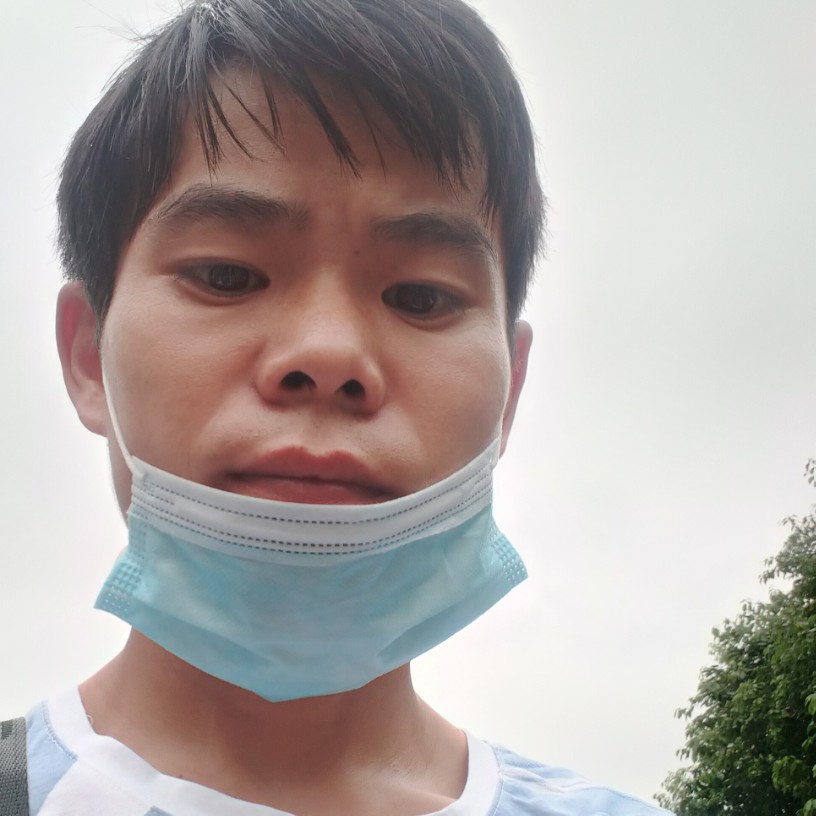 飞鸟和小巧的照片