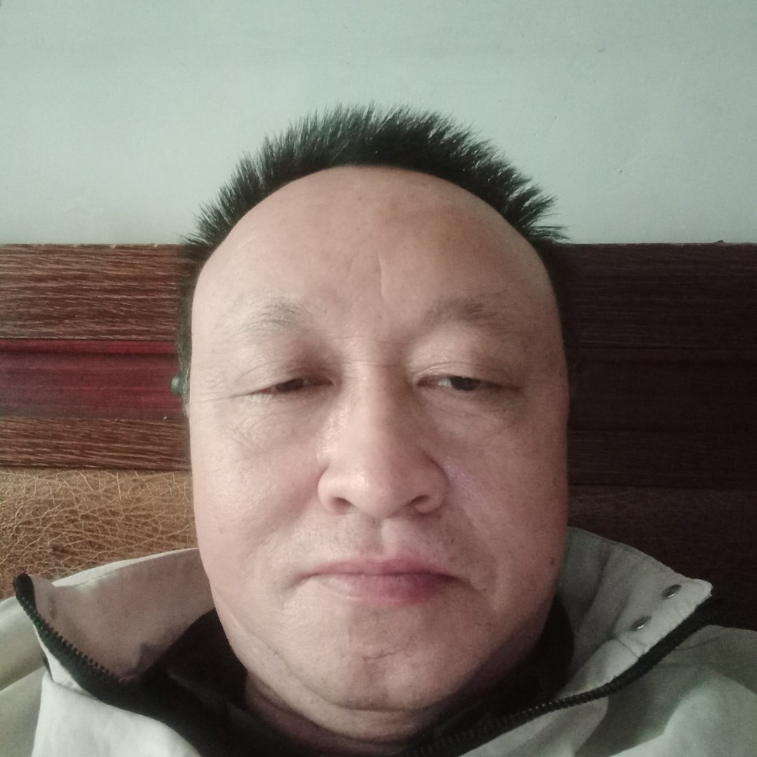 顺利向龙猫的照片