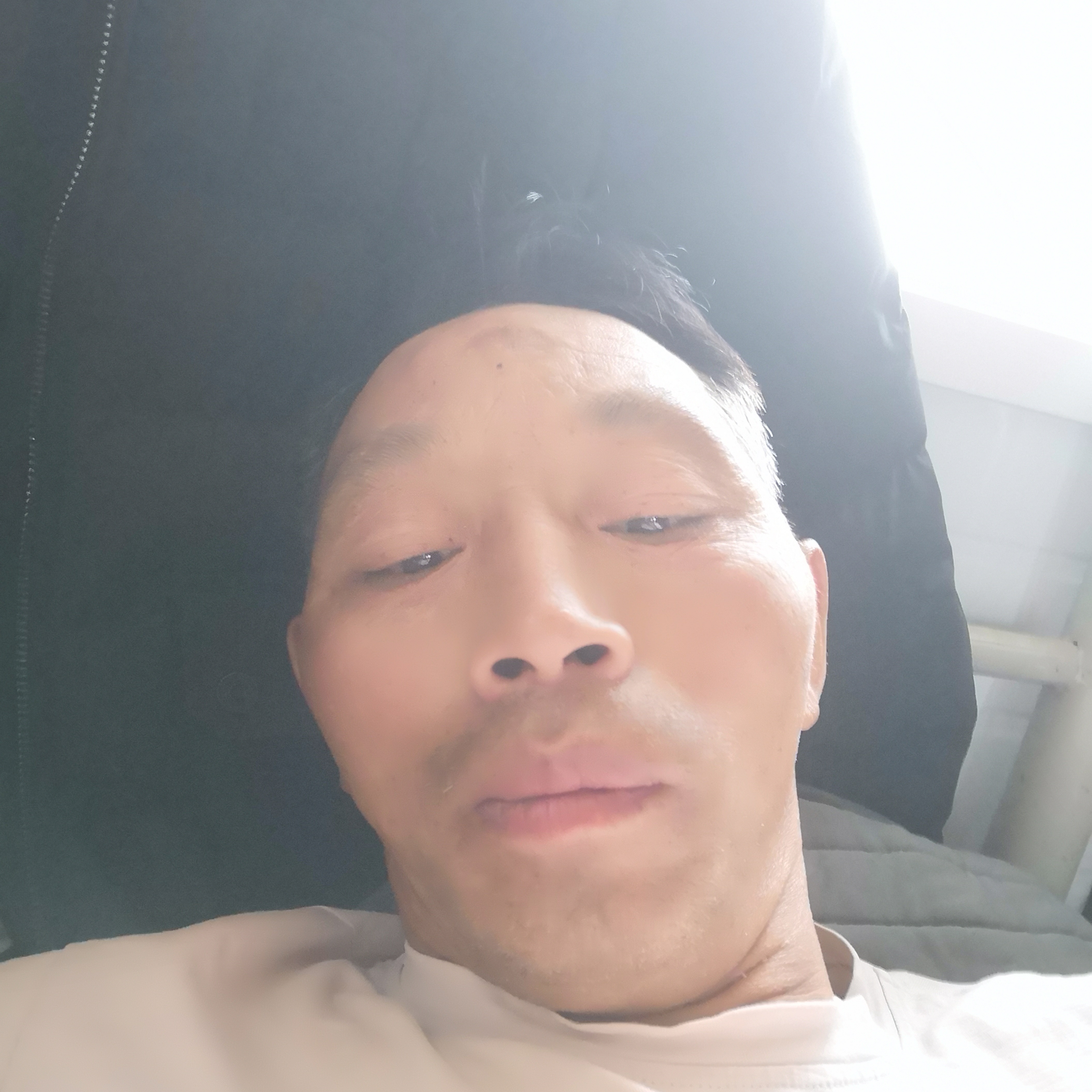 橘子翩飞的照片