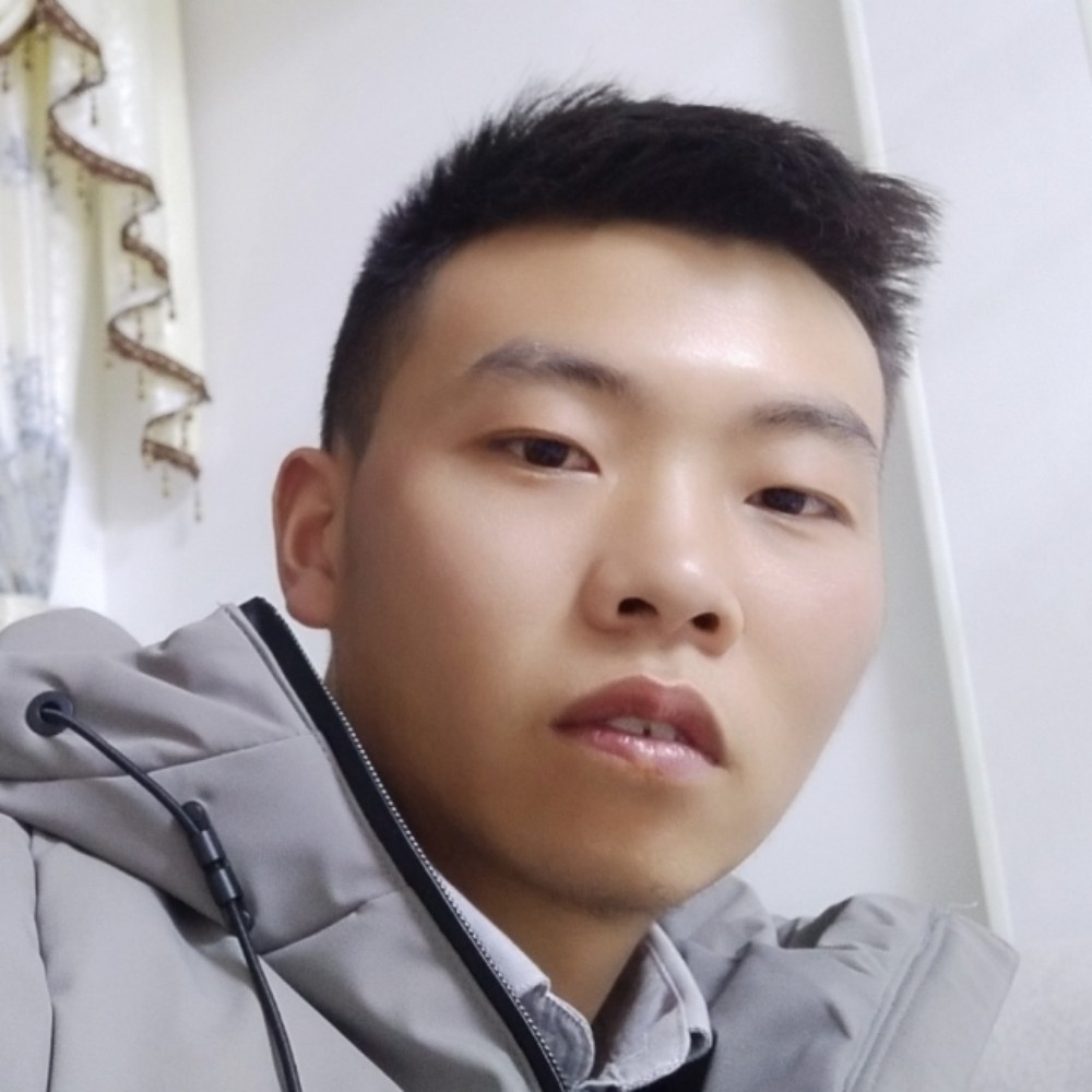 蚂蚁闻笨笨的照片