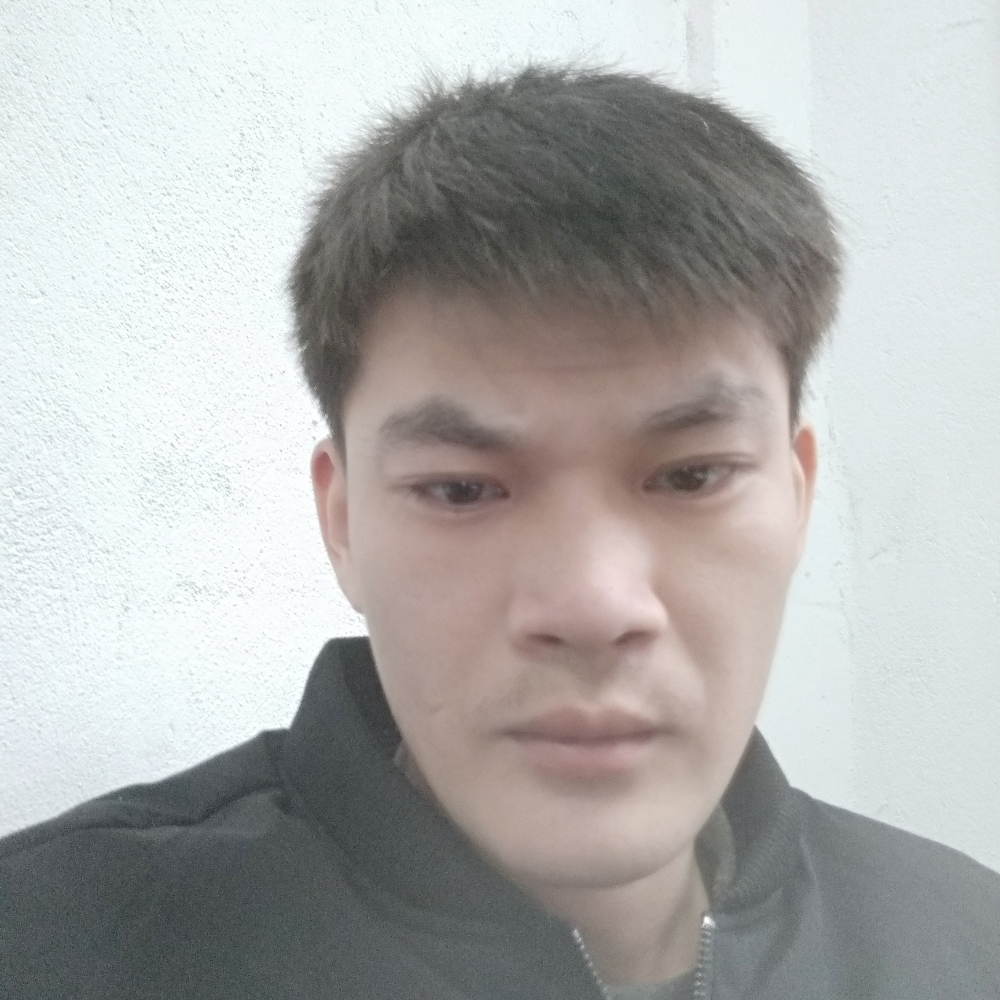 大力小海豚，的照片