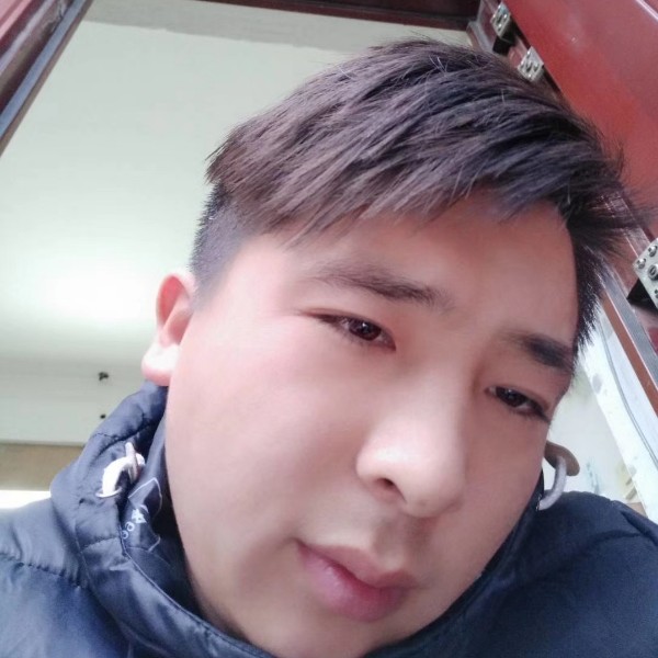 负责打小天鹅的照片