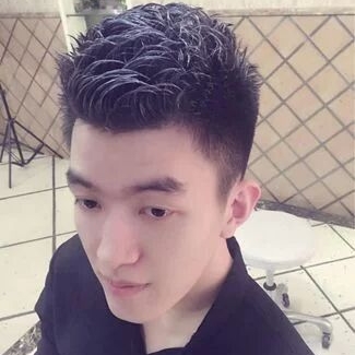 粗犷的猫咪的照片