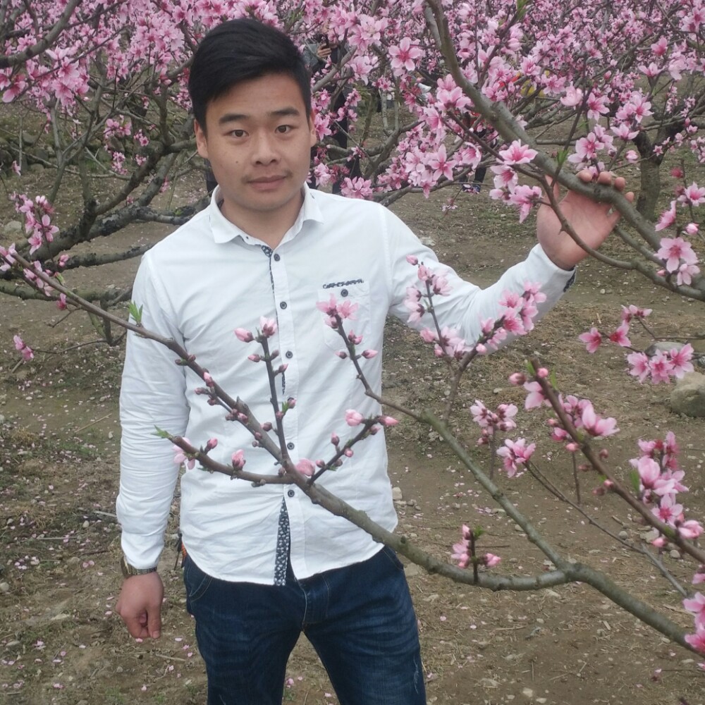 和谐香水，，，的照片