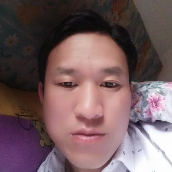 开放改变树叶的照片