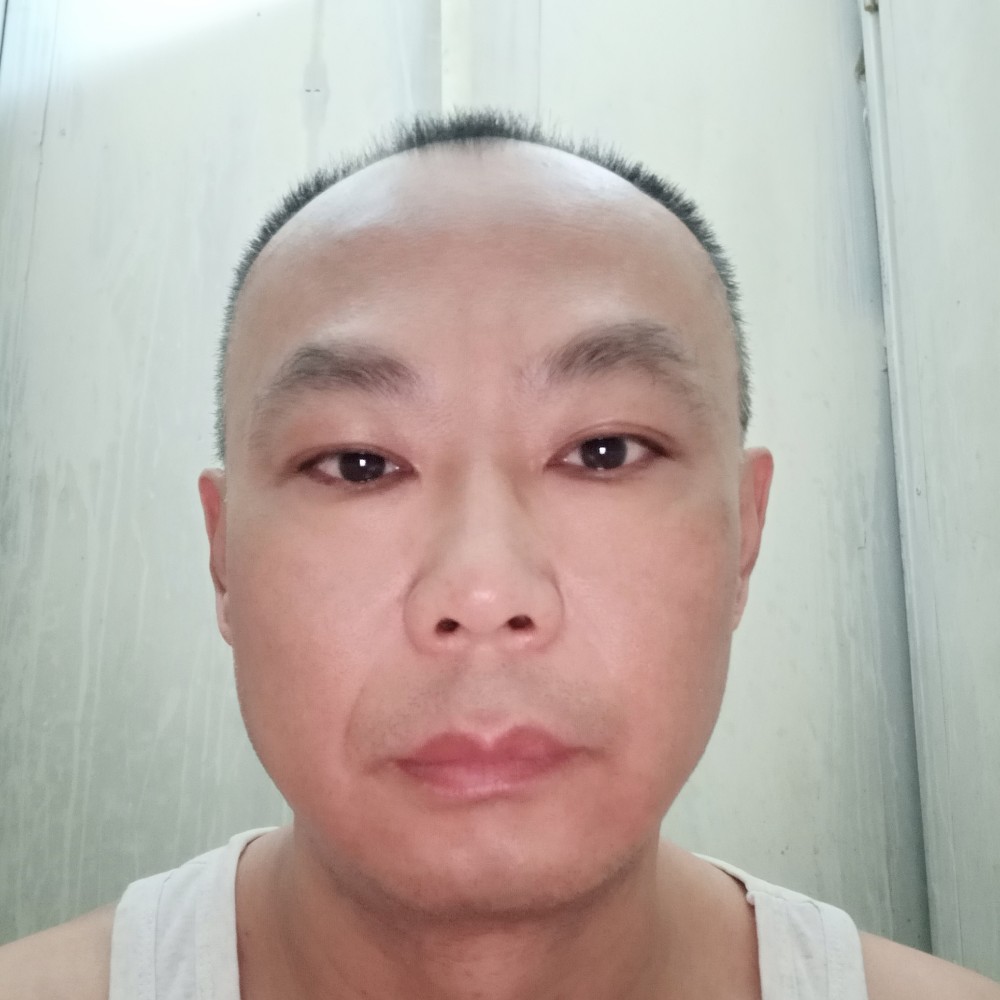 黑猫可爱的照片