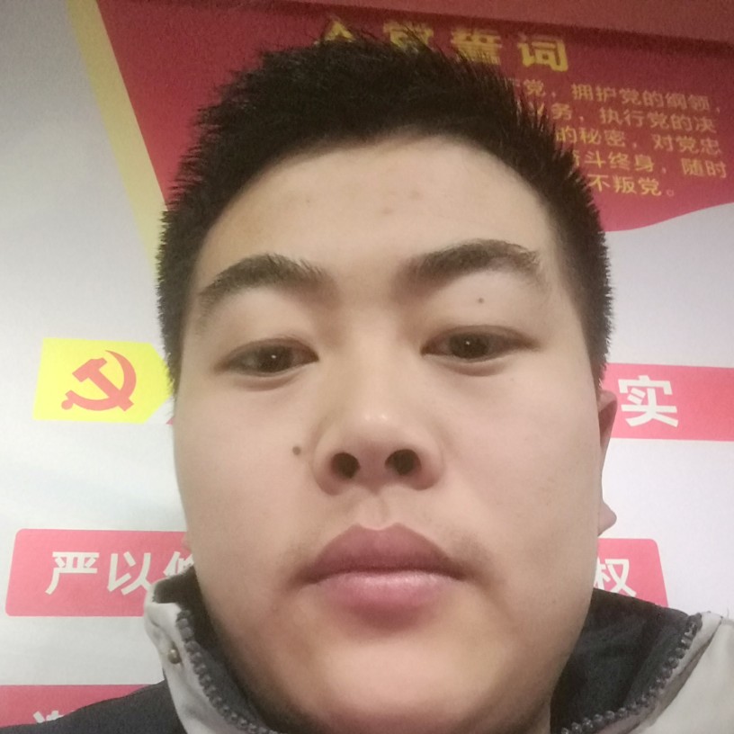 幸福蝶舞号的照片