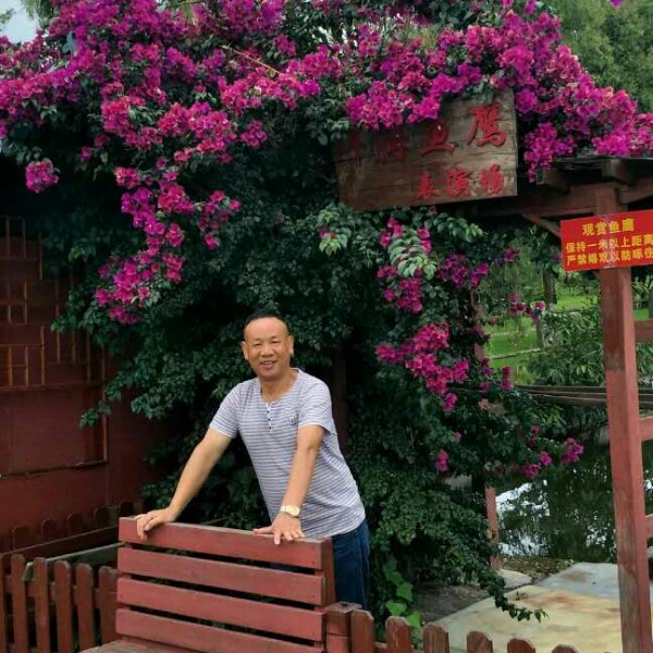 习顺的照片