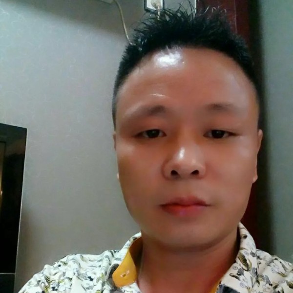 森槿明亮的照片