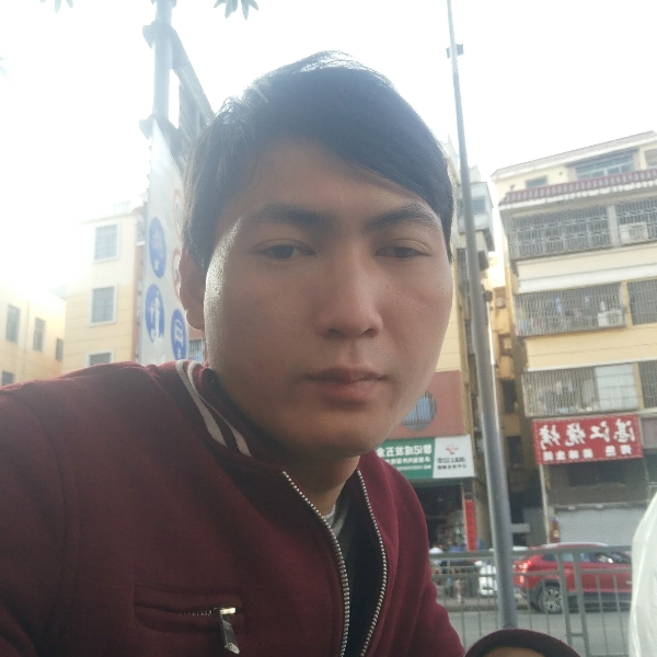 含羞草打忧伤的照片