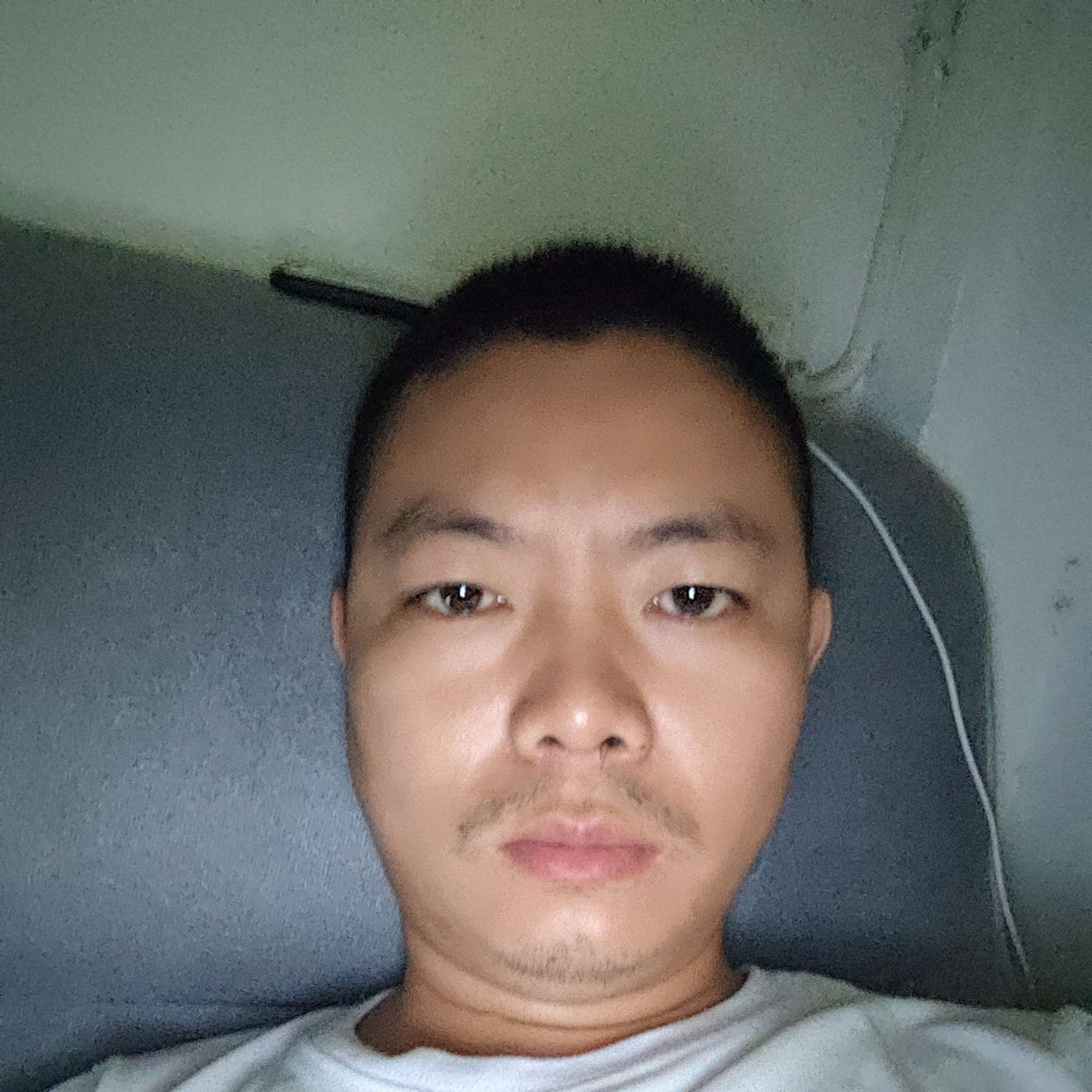 老实向蘩藜的照片
