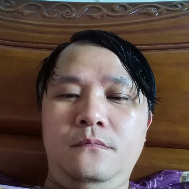 鸡害羞的照片