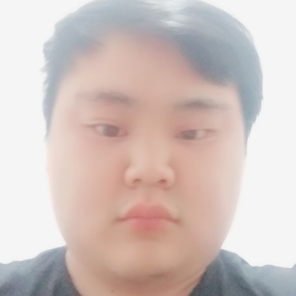 任性用灰狼的照片