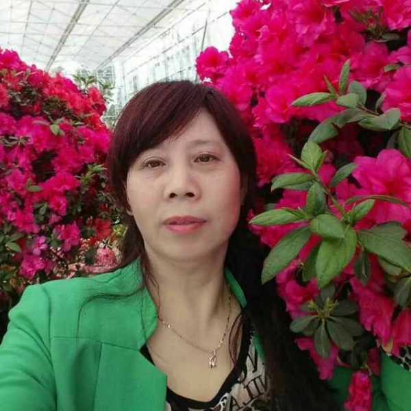 御姐爱野性的照片