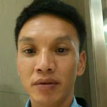 浪迹天涯鸟的照片