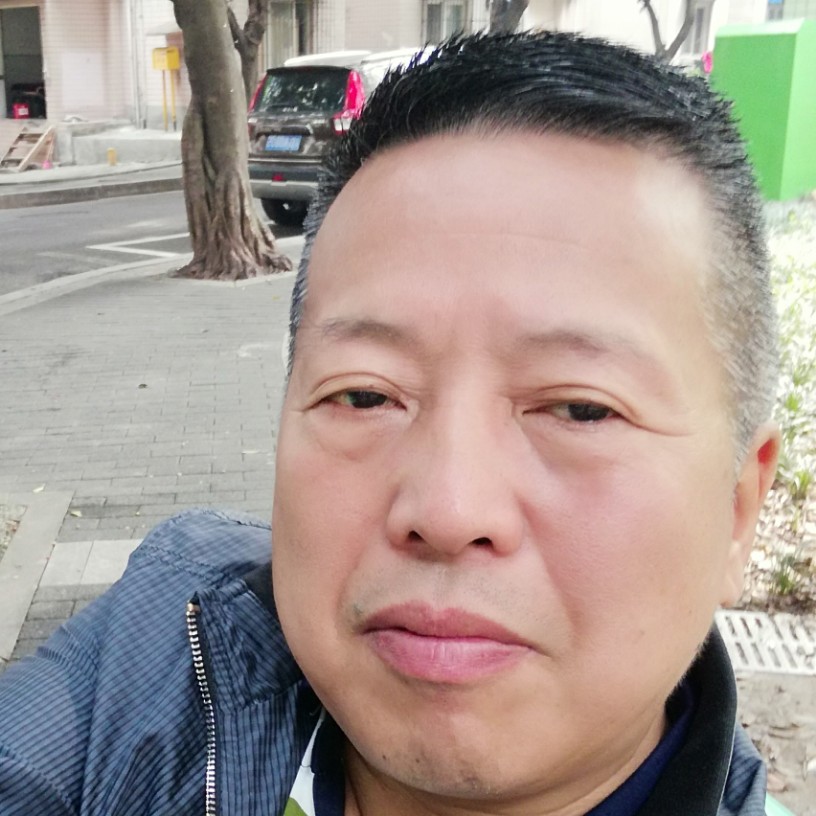 鲤鱼苦恋汽车的照片