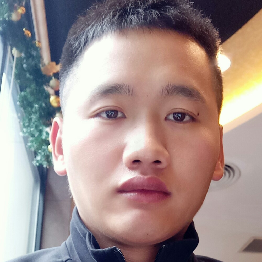 明亮小熊猫的照片