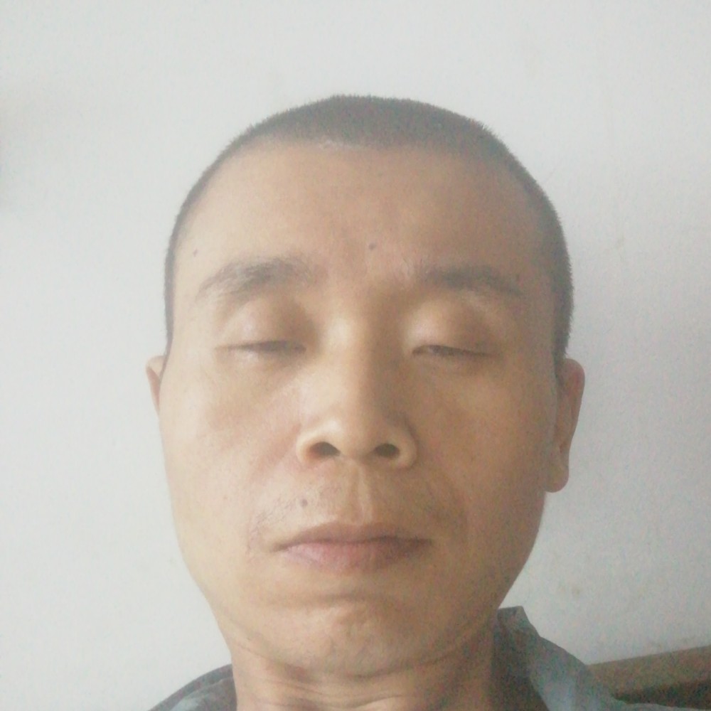 暖光回眸明媚的照片