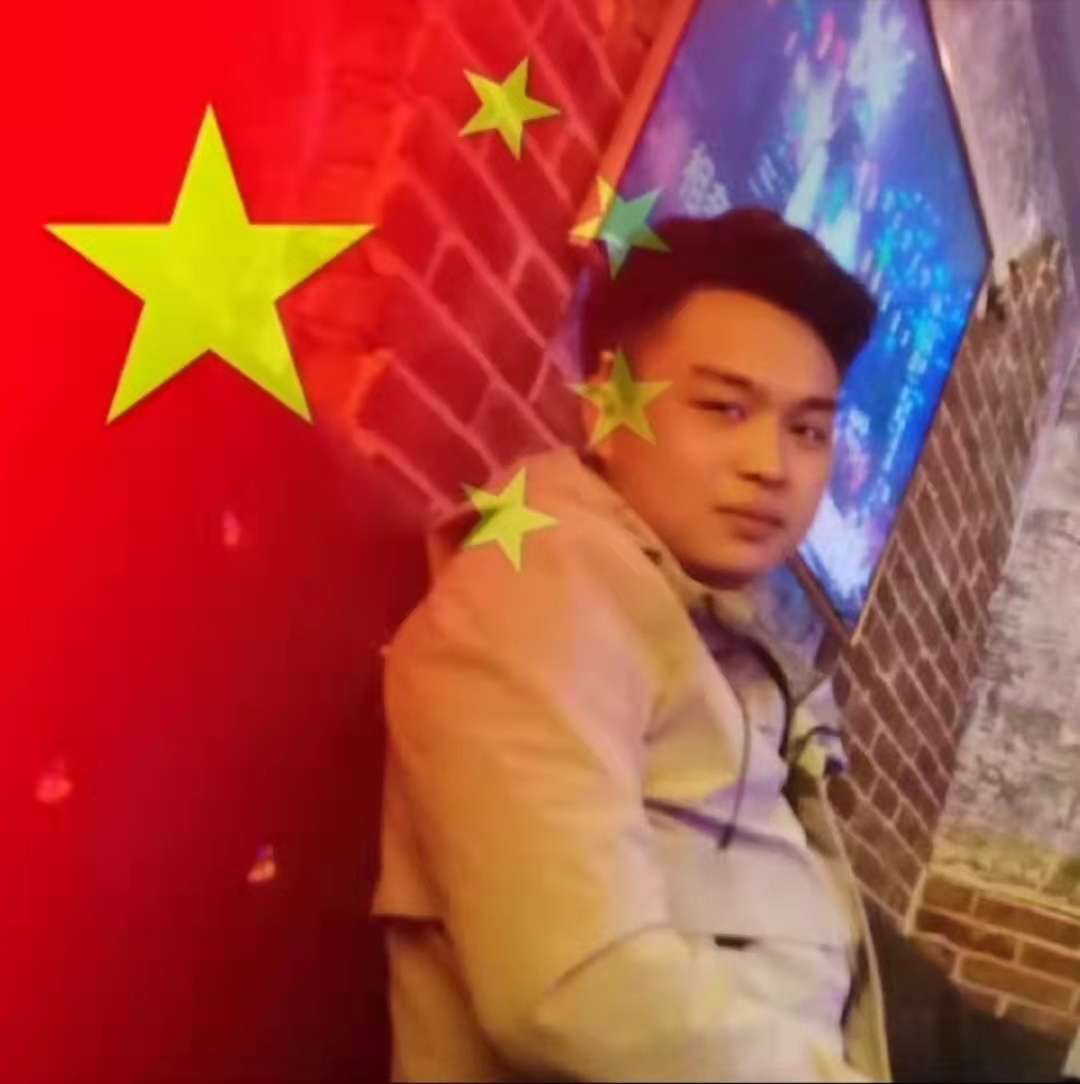 漫步猫咪的照片