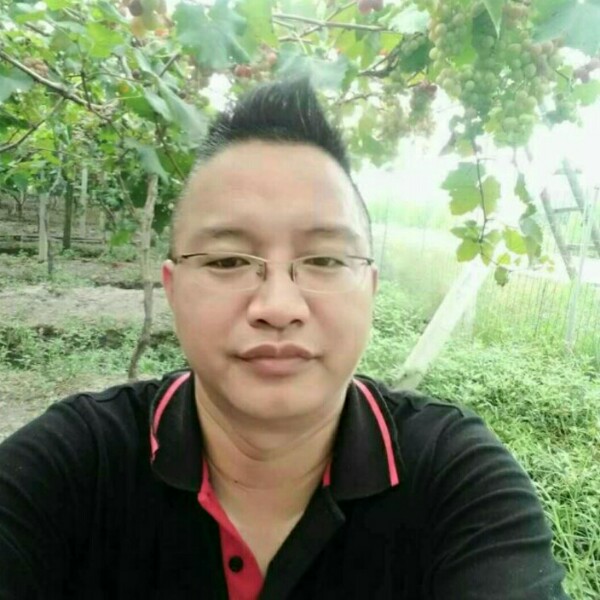 生动电灯胆的照片