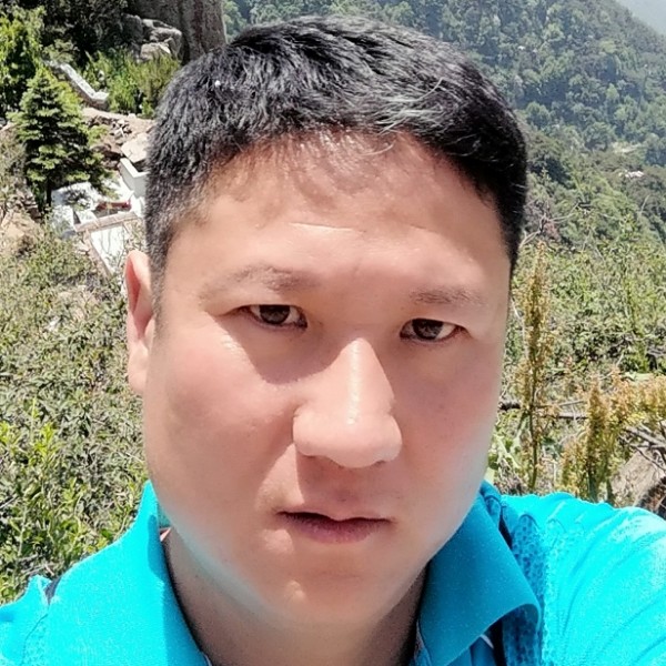 白猫单薄的照片