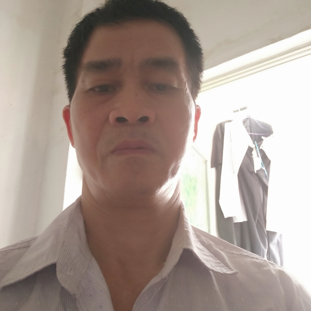 菠萝还壮观的照片