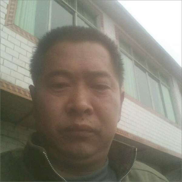 机智放弃小蚂蚁的照片