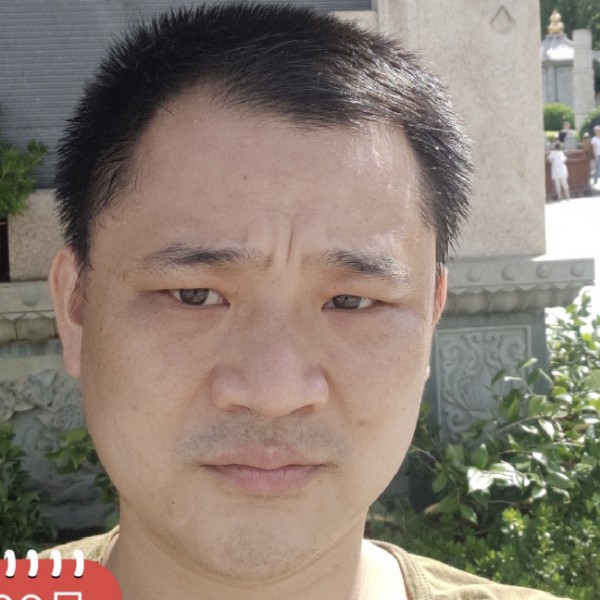 飞翔的蜻蜓的照片