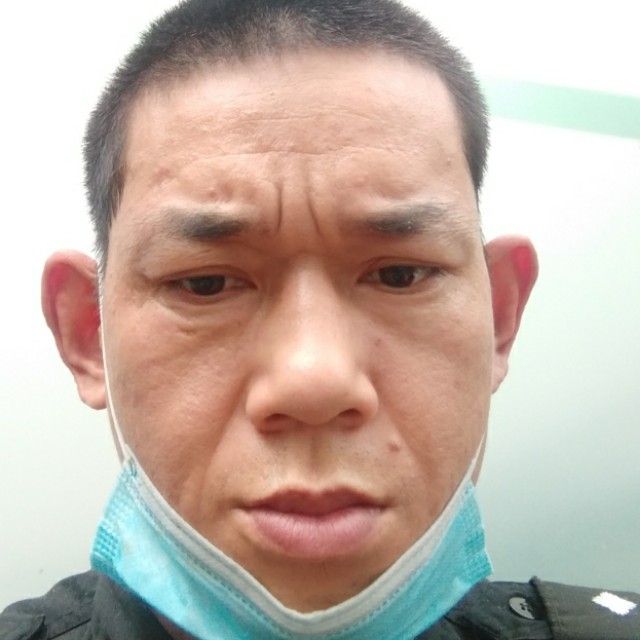 勤劳倾心绿草的照片