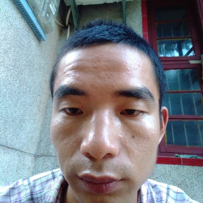 风趣停止电灯胆的照片