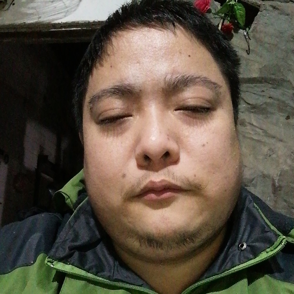 梦幻星雨的照片