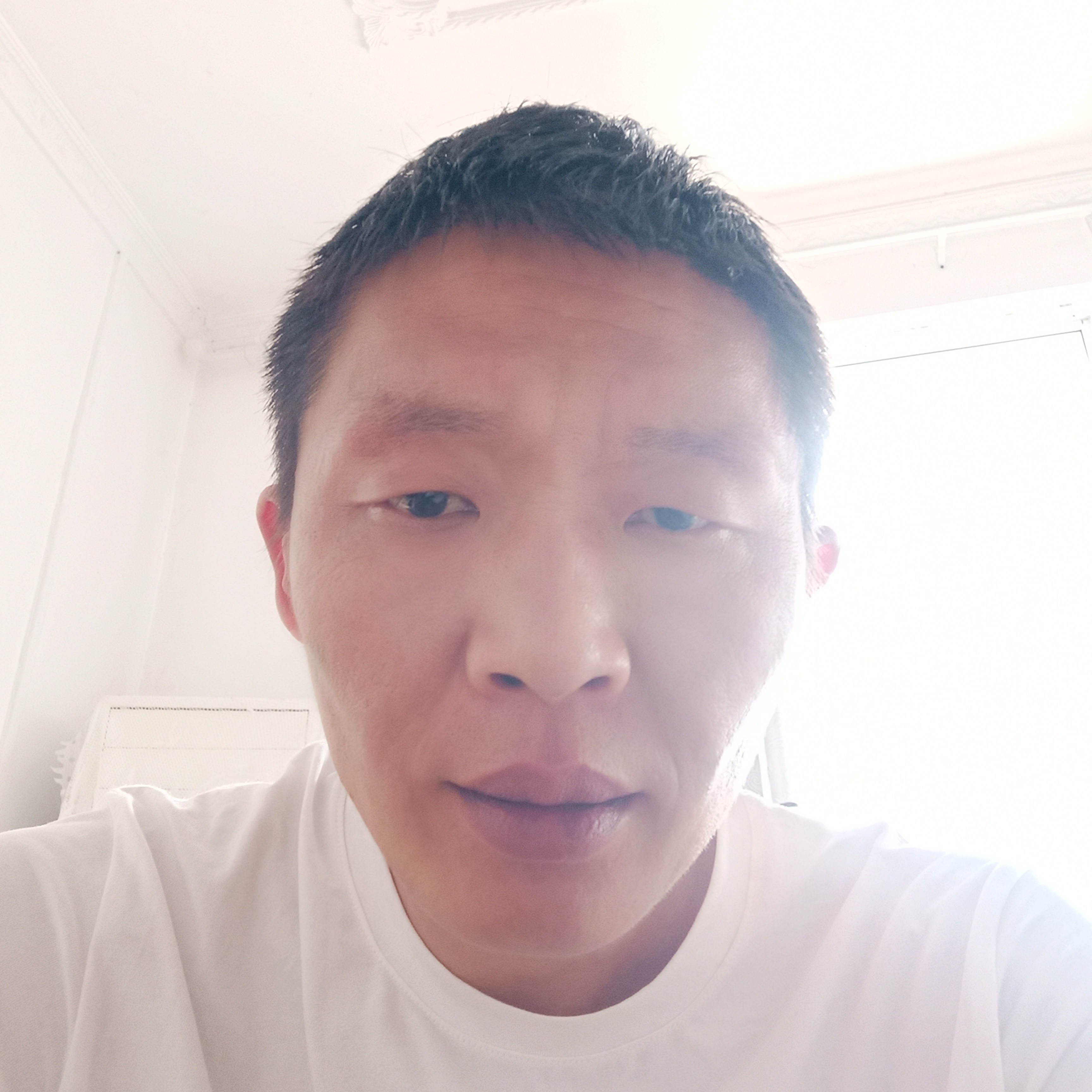 疯狂邂逅热狗的照片