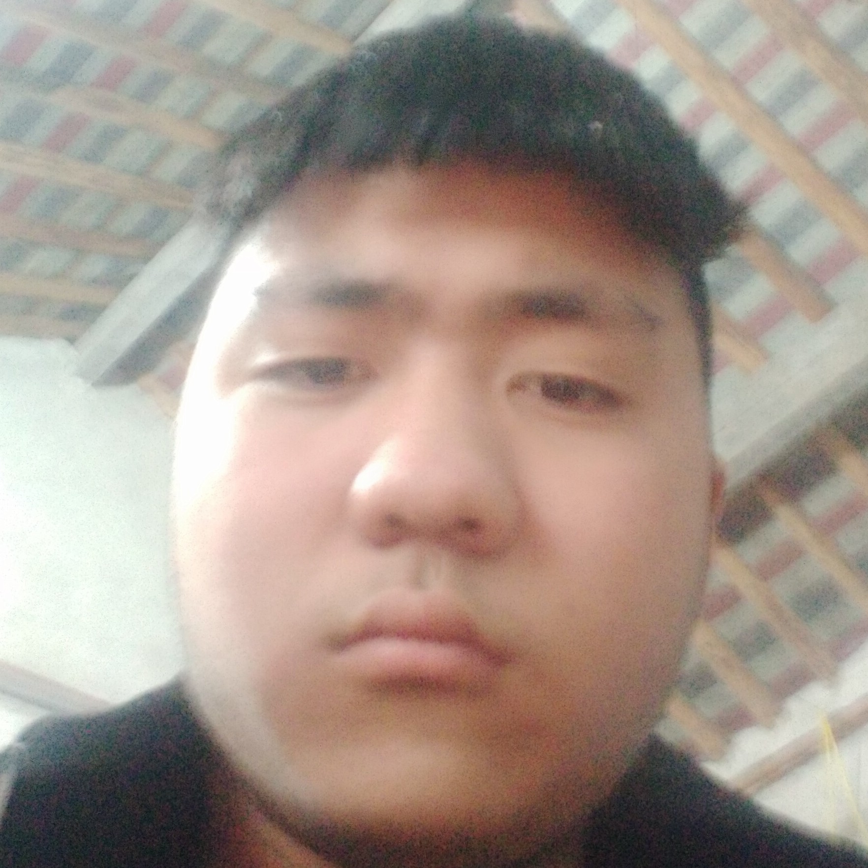 瘦瘦邂逅紫萱的照片