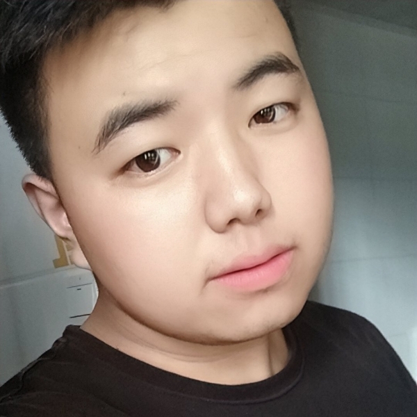 一只傻小涛的照片