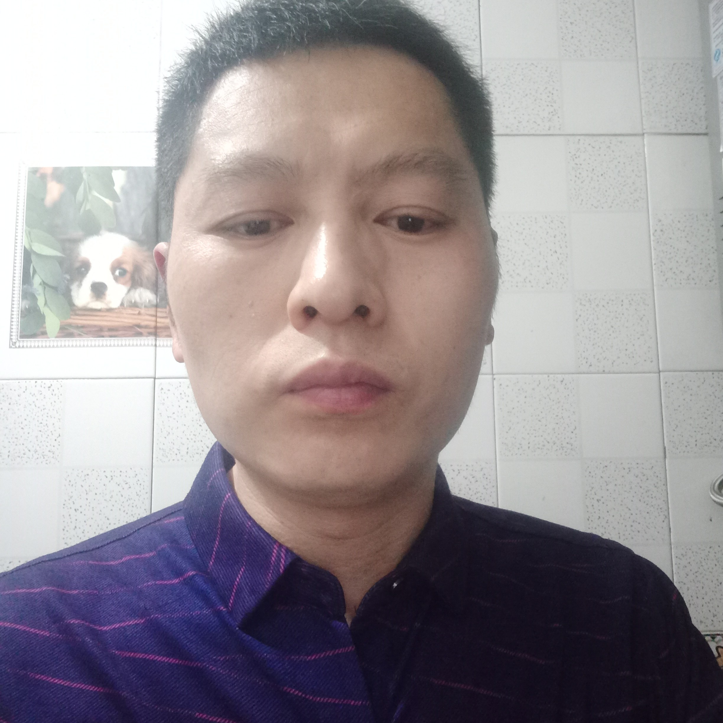 温柔等待黑米的照片
