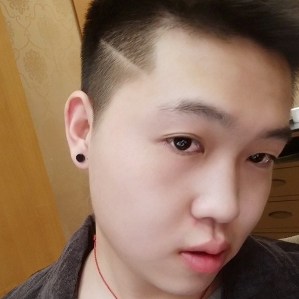 迷人演变黑猫的照片