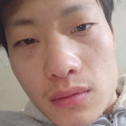 爱在哪儿的照片