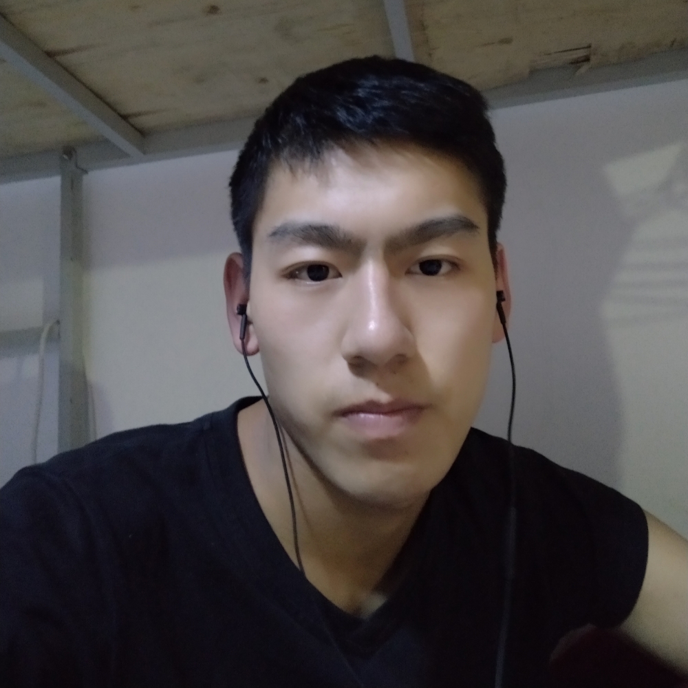 寂寞杀手的照片