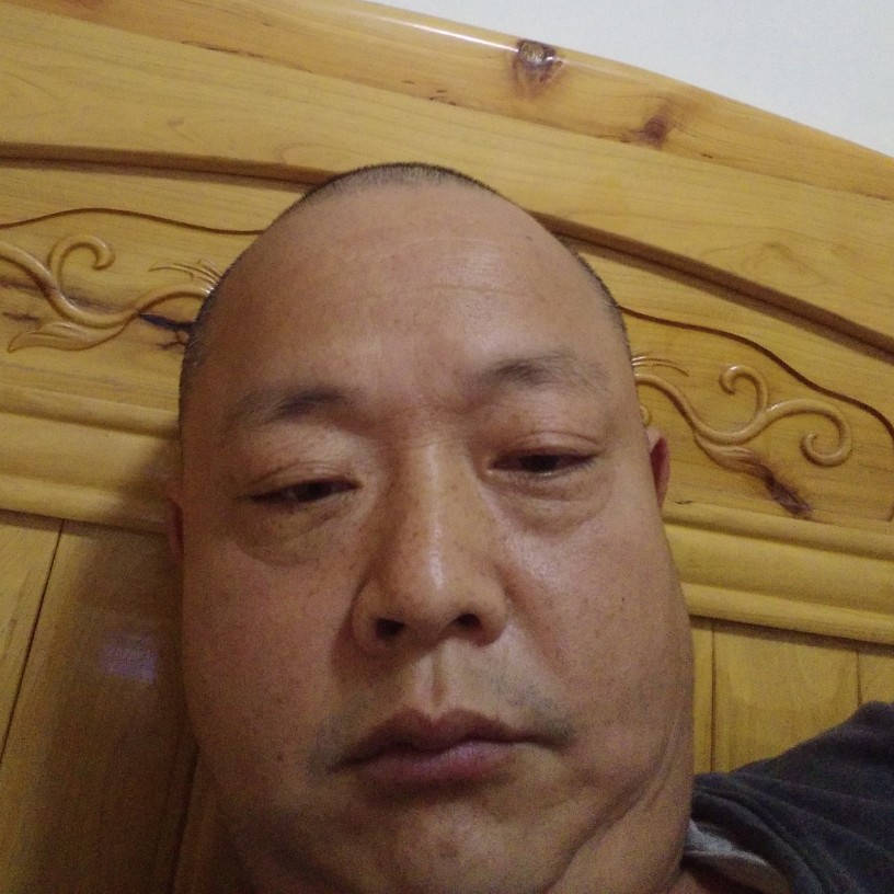 黑-桃的照片