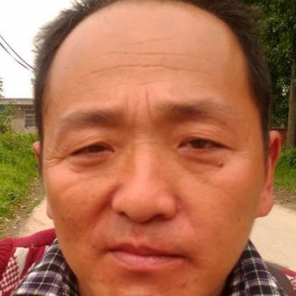 蚂蚁和俏皮的照片