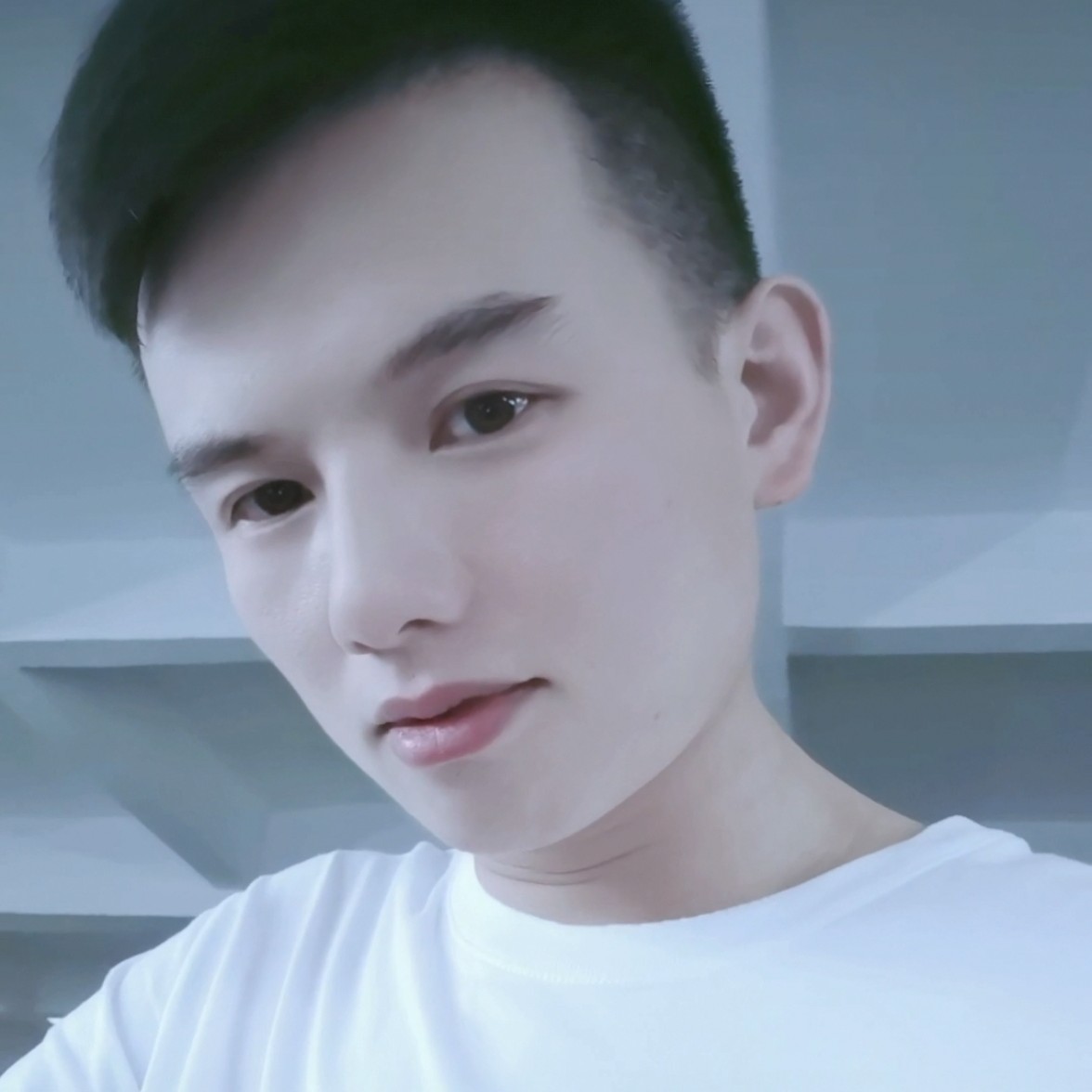 小懒虫明媚阳光的照片