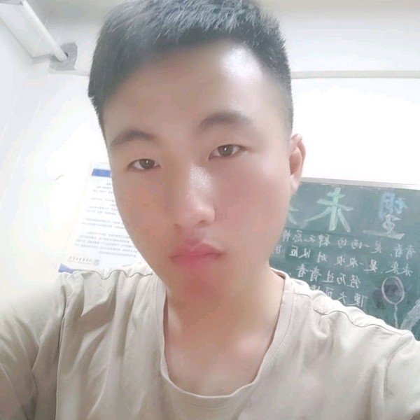 踏实的小松鼠的照片