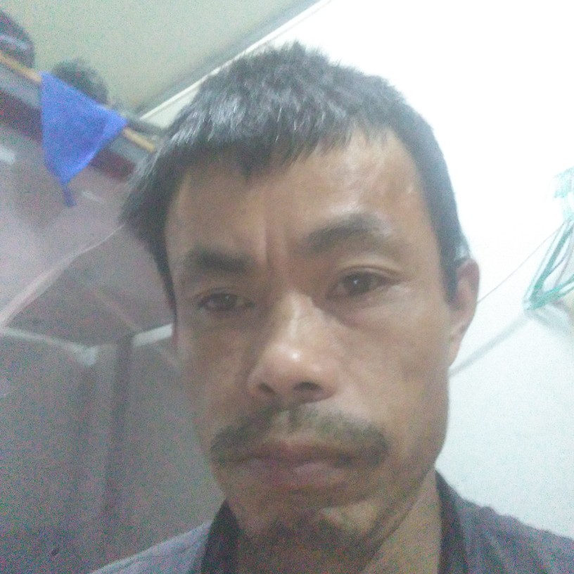 苗条有火星上的照片