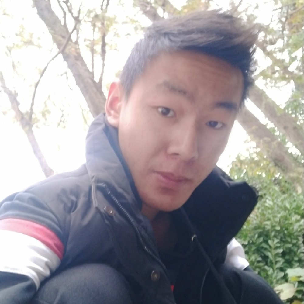 蓝莓扯安静的照片